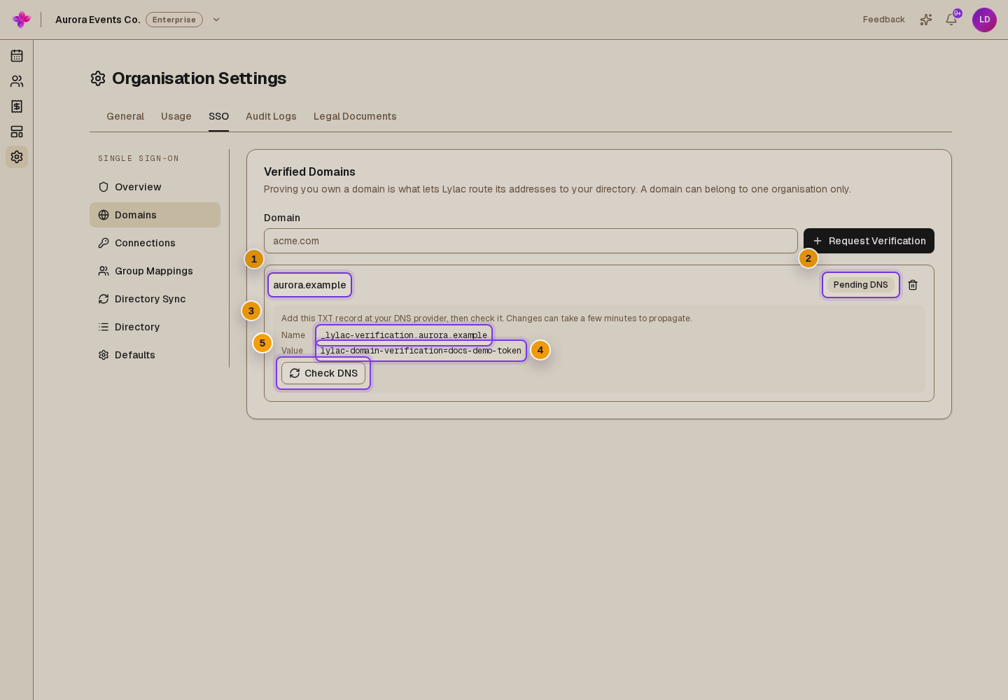Its TXT record name and value, and Check DNS